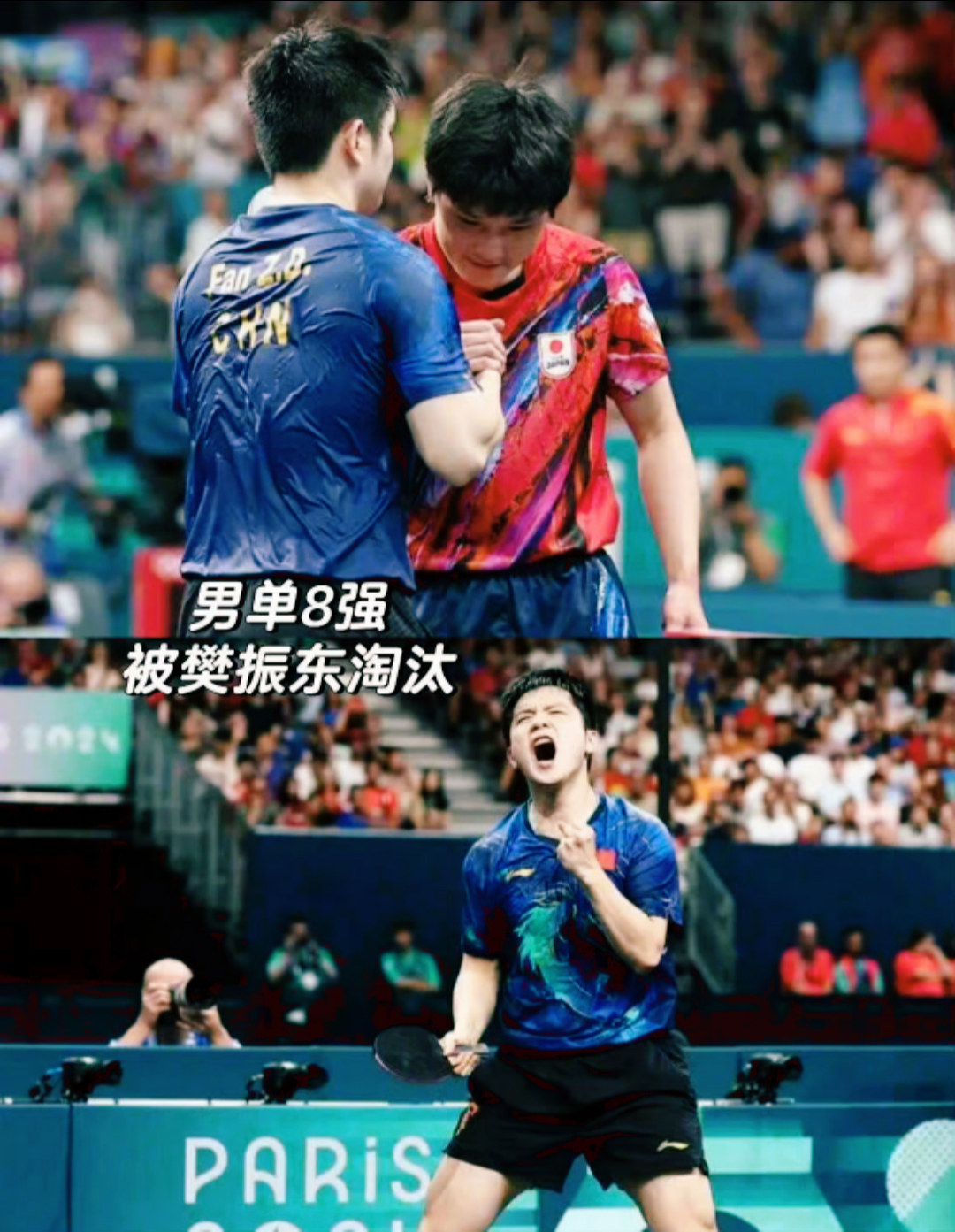 法国队完胜波兰队，张本智和点燃赛场