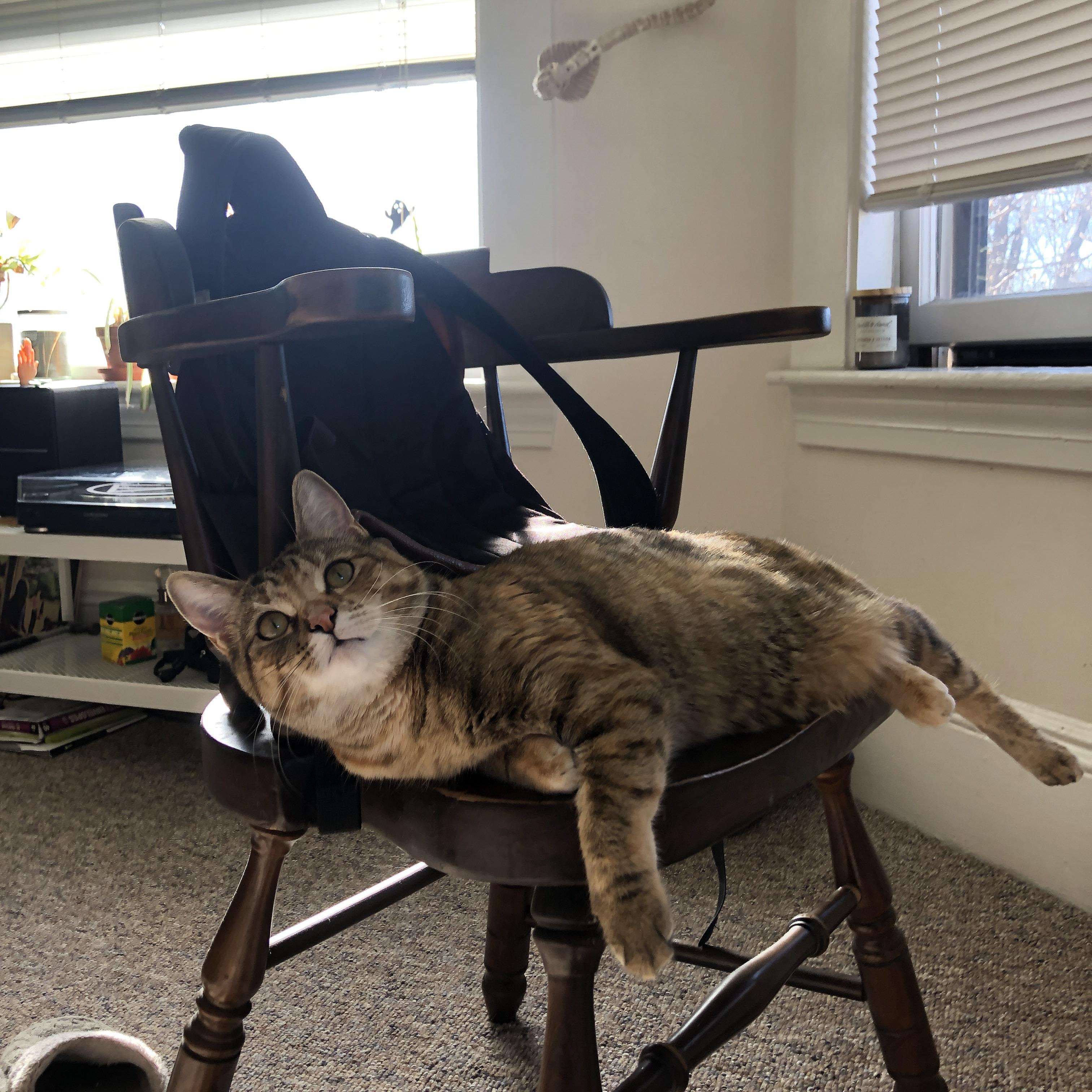 猛龙的铁蹄与利拉德的时钟,当季后赛冲刺遇见奥运倒计时