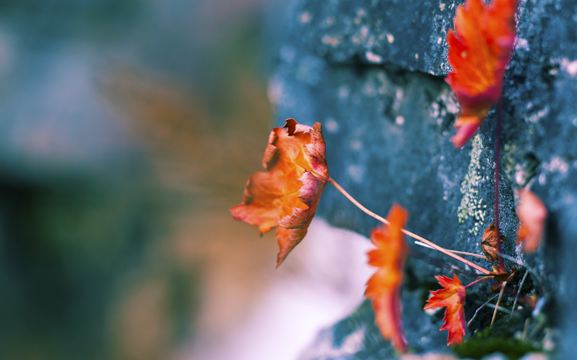 关键突破,致命一击!布拉欣·迪亚斯一人搅乱丹麦防线,西班牙新英雄在斗牛士精密体系中闪耀