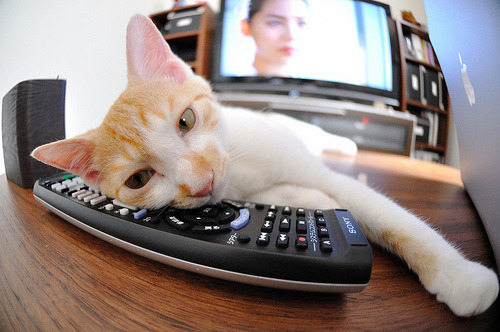 当维京战船遇见沙漠商队，内马尔的节奏如何重绘古老地图