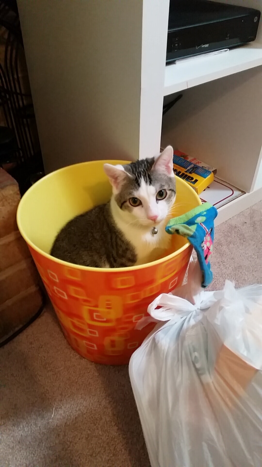 法兰西堡垒崩塌之夜,马里洪流与苏亚雷斯的致命一击