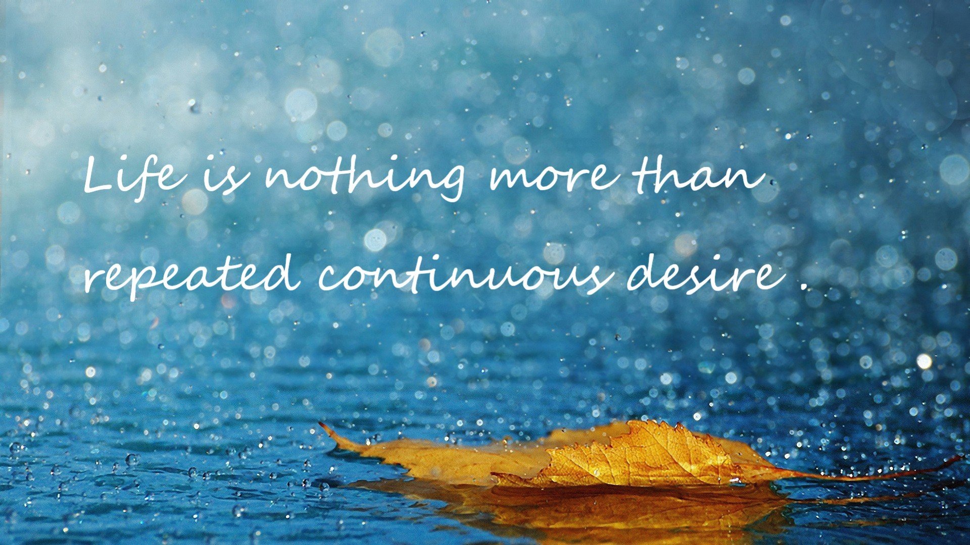 聚光灯下，当世界杯之夜遇见拉文定律—论伟大舞台对非凡灵魂的淬炼