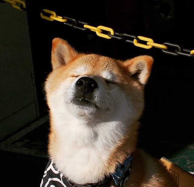 新秩序降临，从贝林厄姆的掌控力到丹麦球队的欧冠突围