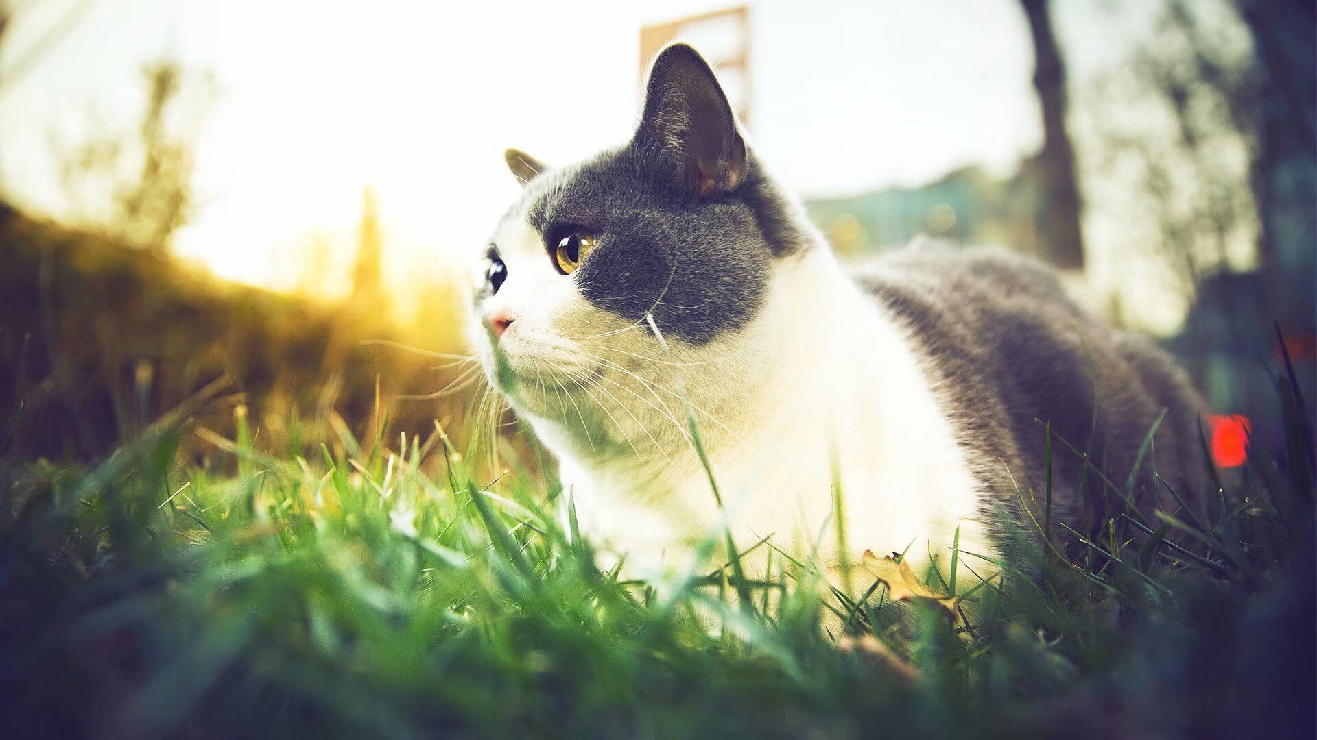 逆转之王,德布劳内抢七接管,曼城终结曼联压制时代