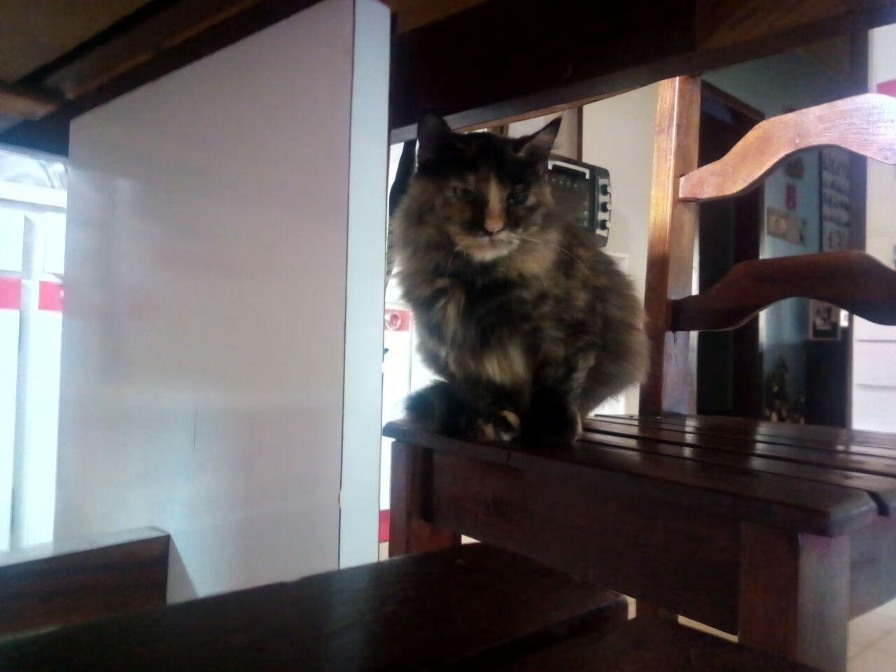 光锥的交错时刻，当开拓者封锁雷霆，布伦森在欧冠赛场扭转时间线