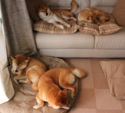 绝杀!乔治三分定乾坤,鹈鹕生死战险胜独行侠