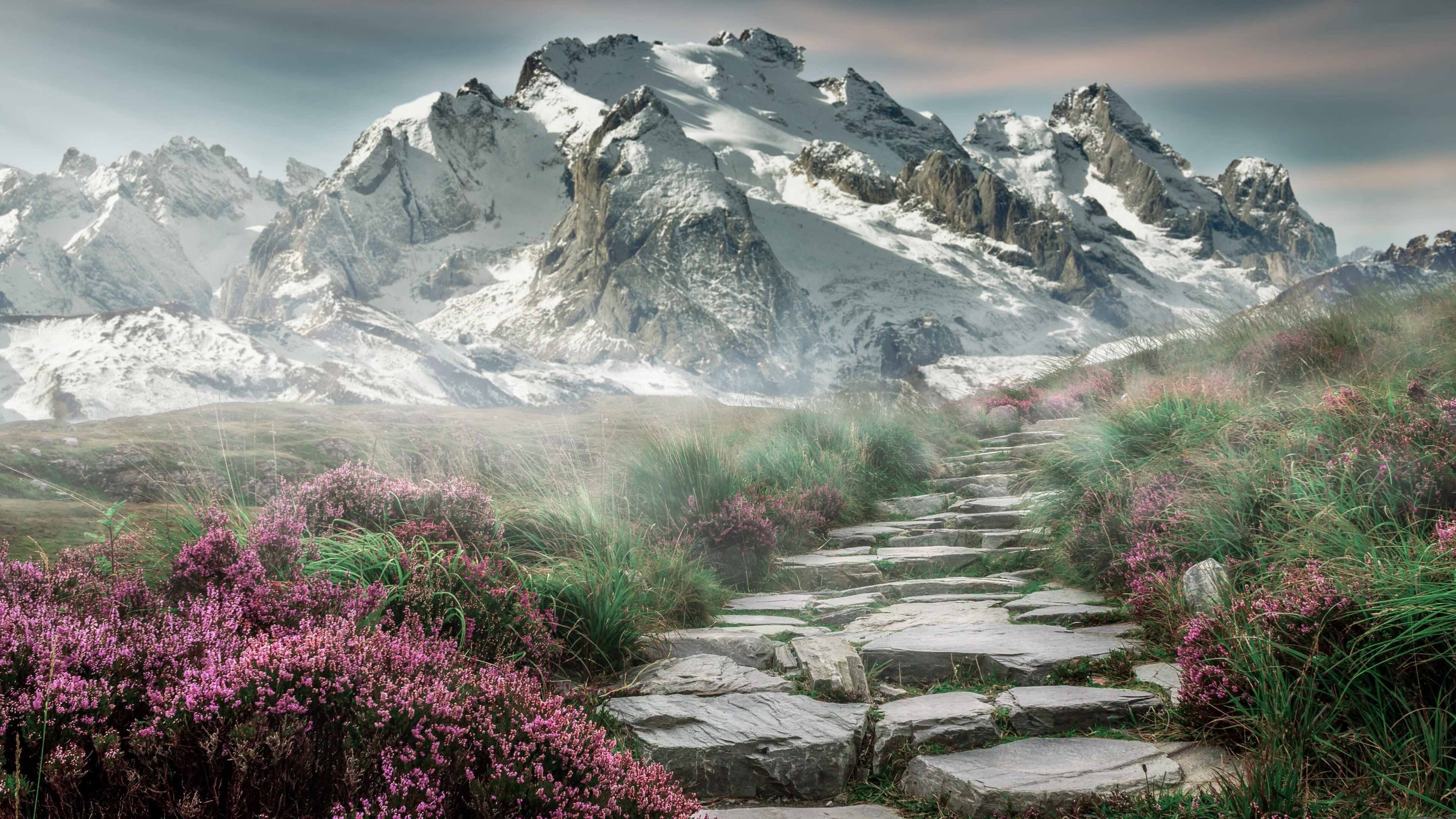 改写历史!猛龙强势拿下森林狼,西决生死战引爆联盟格局