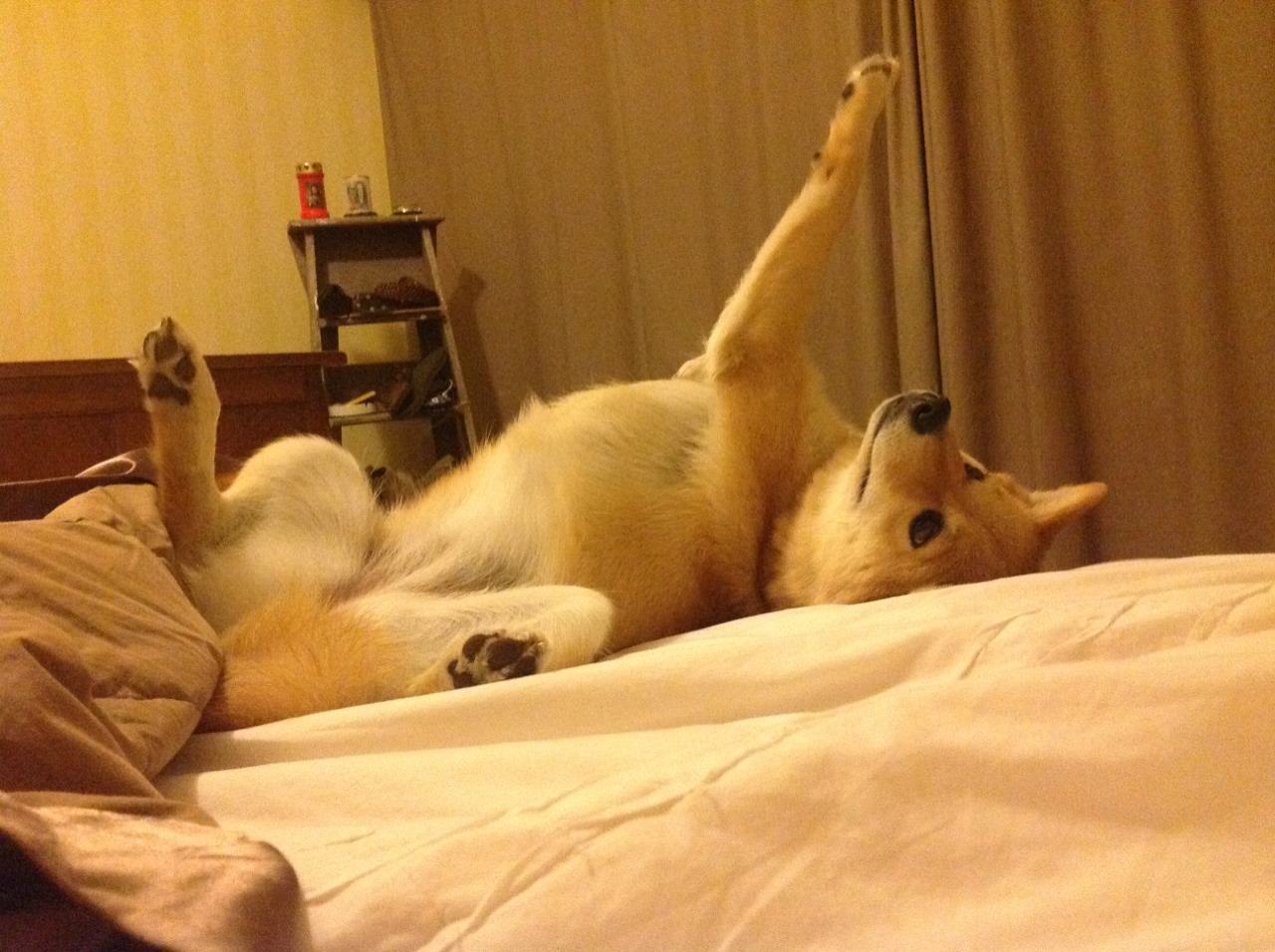 湖人风暴狂卷鹈鹕，杰伦·格林教科书级表演点燃生死局