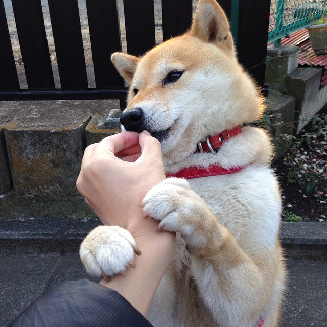 绿茵场上的战争与战争中的绿茵，当西甲德比遇见洪都拉斯终结伊拉克