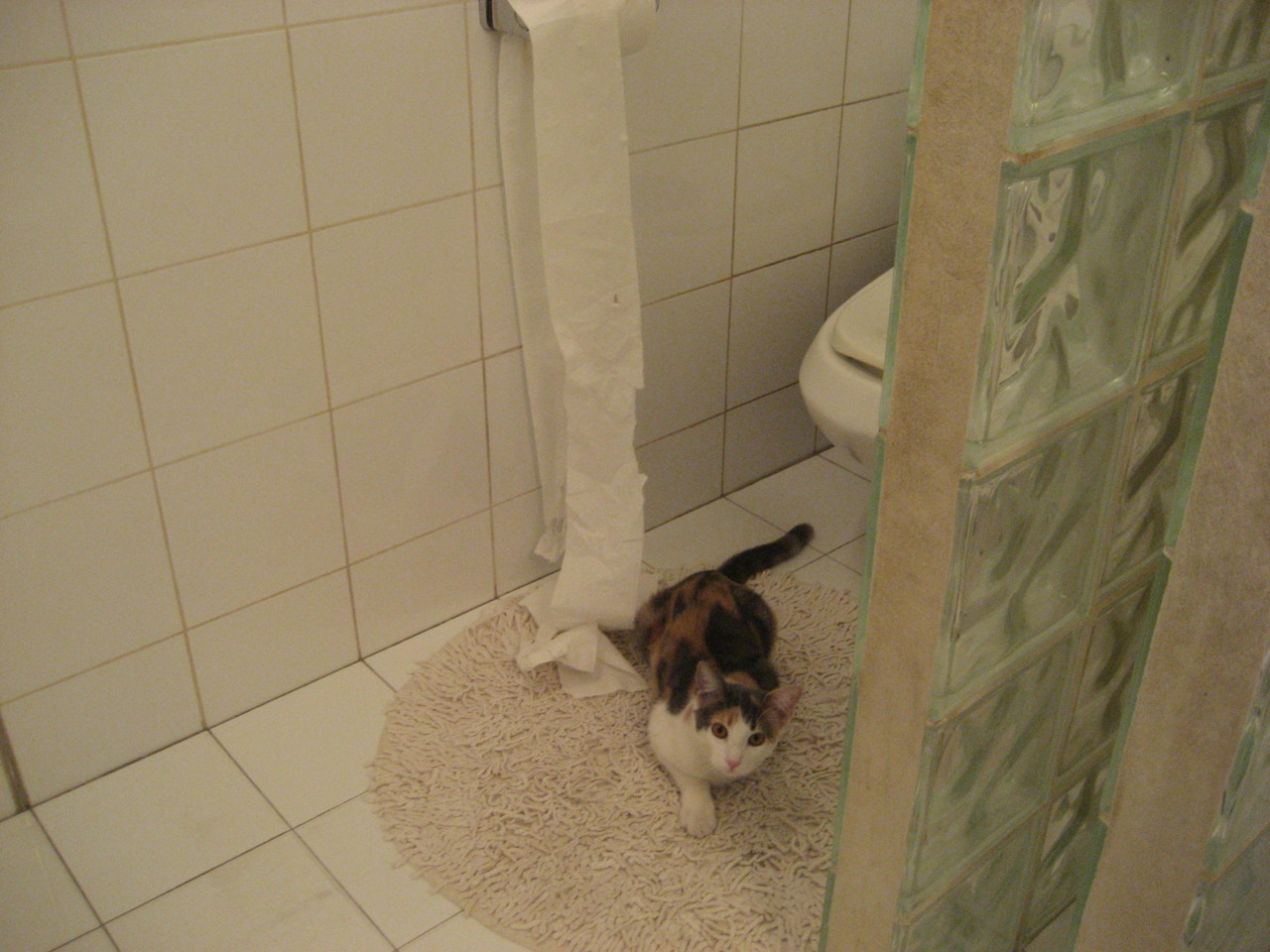 杰伦·格林狂轰42分冰封约基奇！黄蜂终结掘金7连胜登顶西部之巅