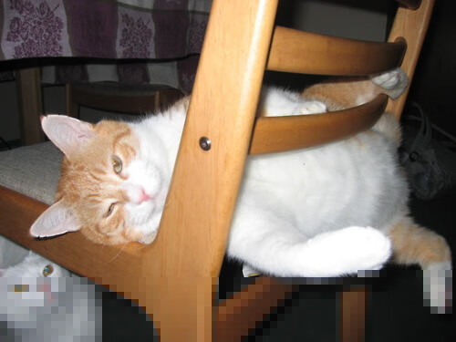 一剑封喉！迪巴拉如何让年度焦点之战之夜在21分钟失去悬念