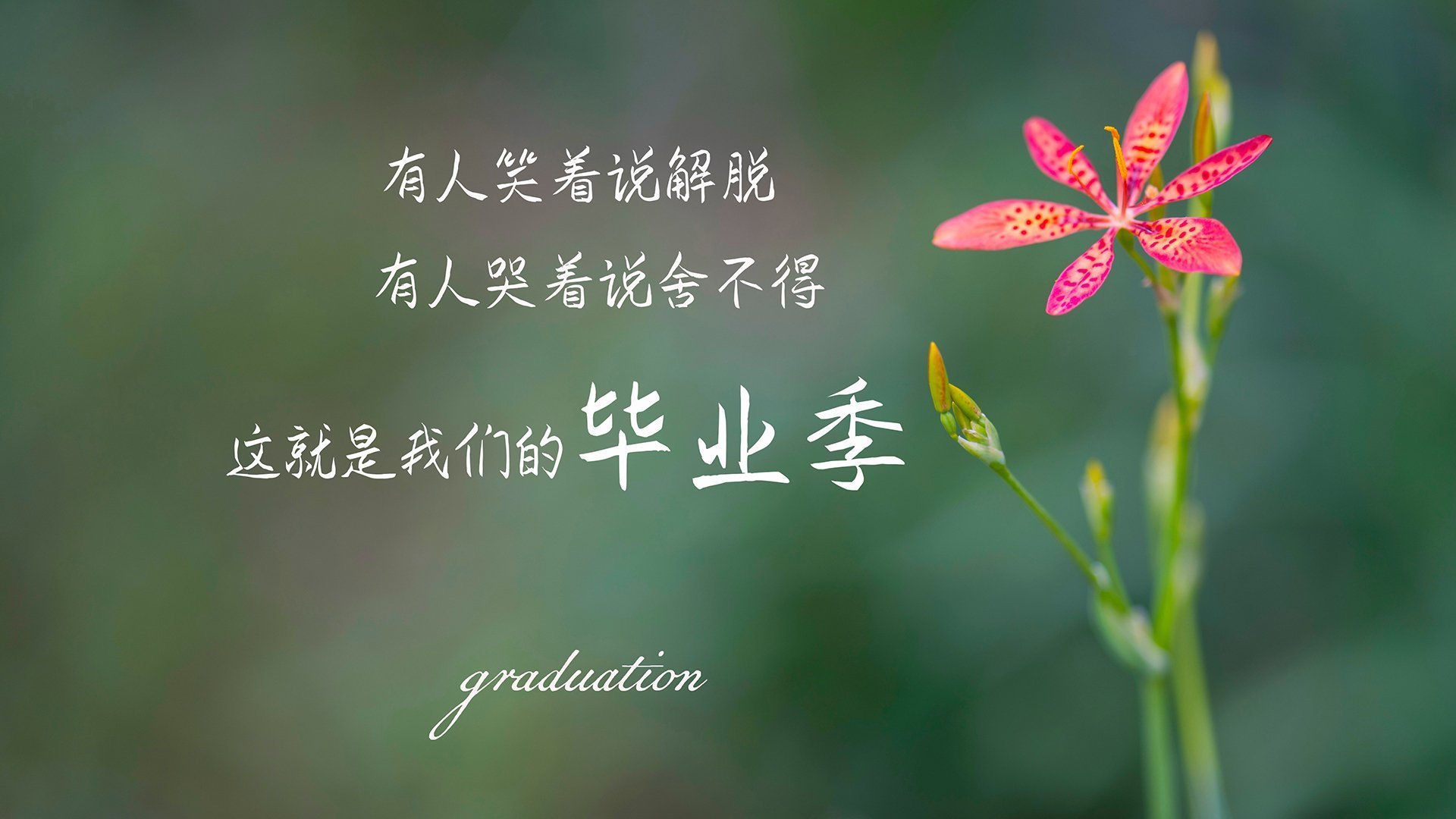 卡萨布兰卡未眠，当波兰铁骑踏碎北非神话，苏亚雷斯用90分钟写下永恒