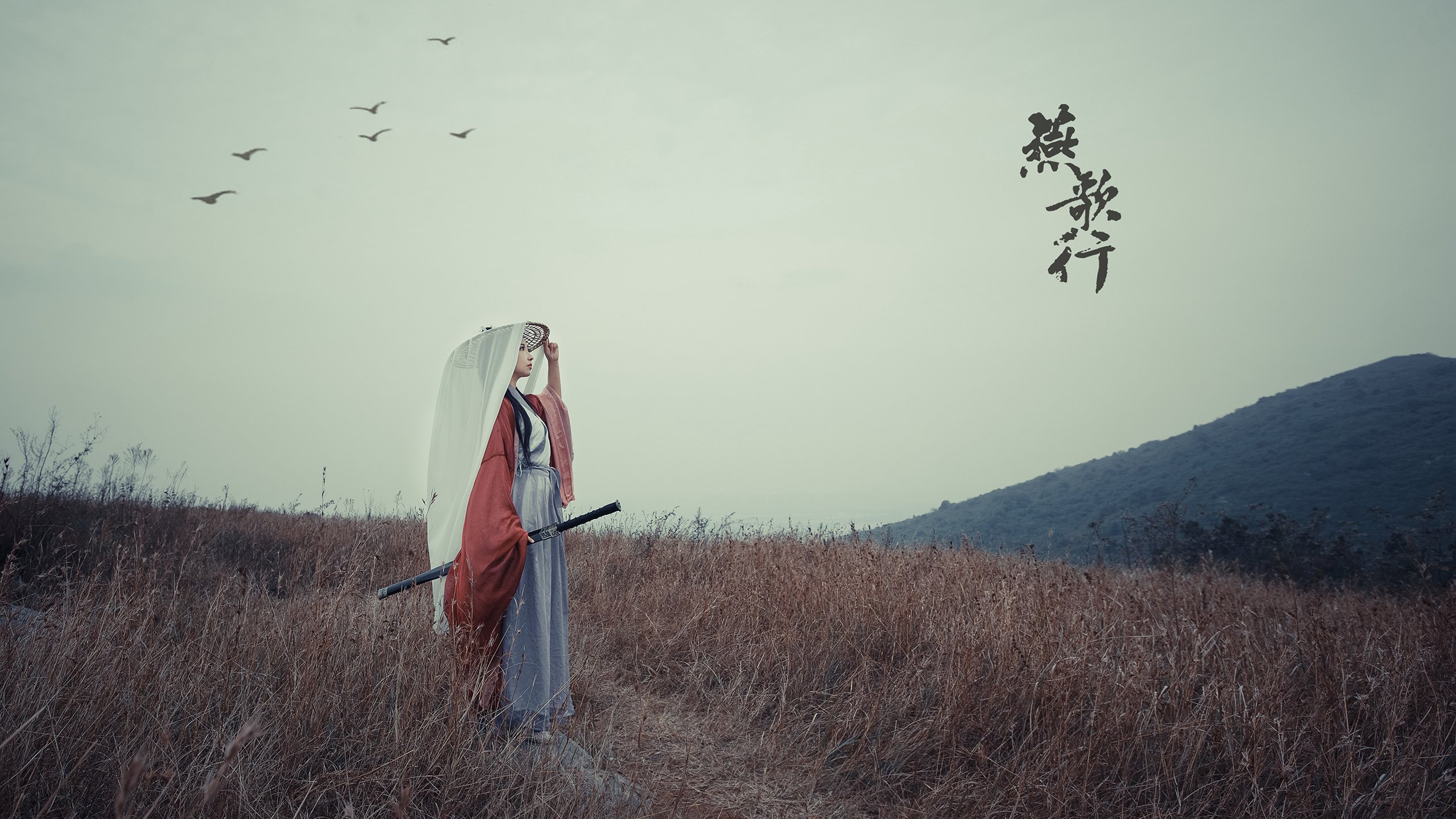 当纪律吞噬天赋，2026世界杯D组，日本闪电战如何击碎桑巴孤胆英雄的童话