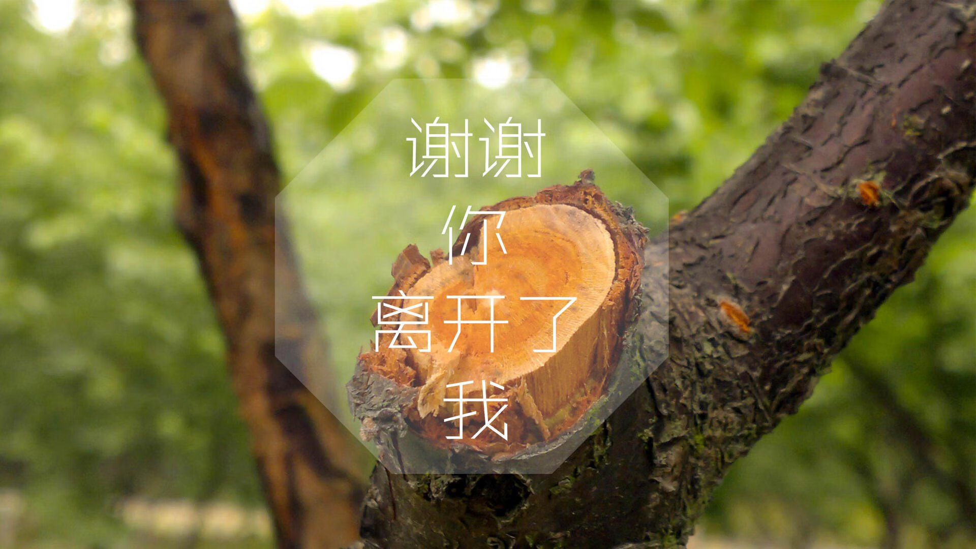 B组防守两极，日本铁壁铸就大胜，穆西亚拉孤胆闪耀难掩德国隐忧