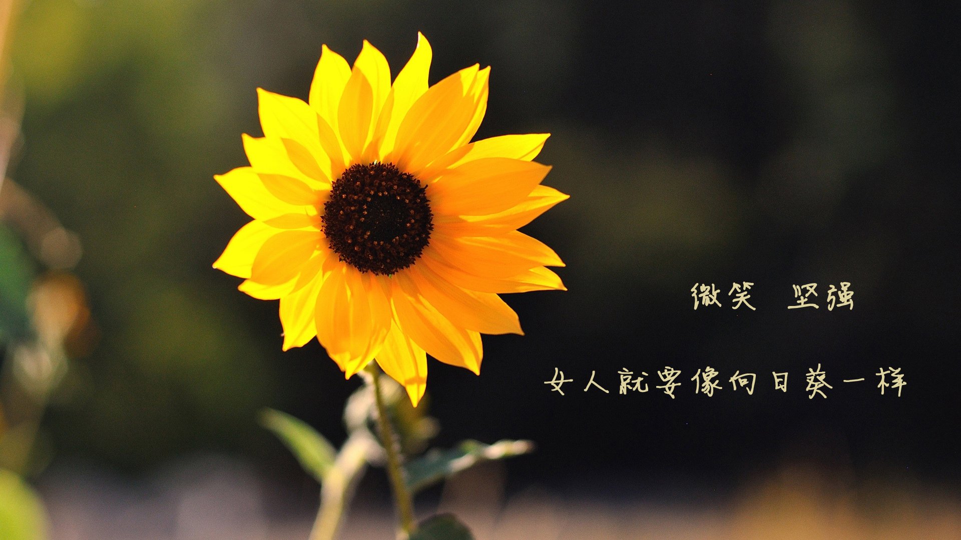 让我们先来构思标题