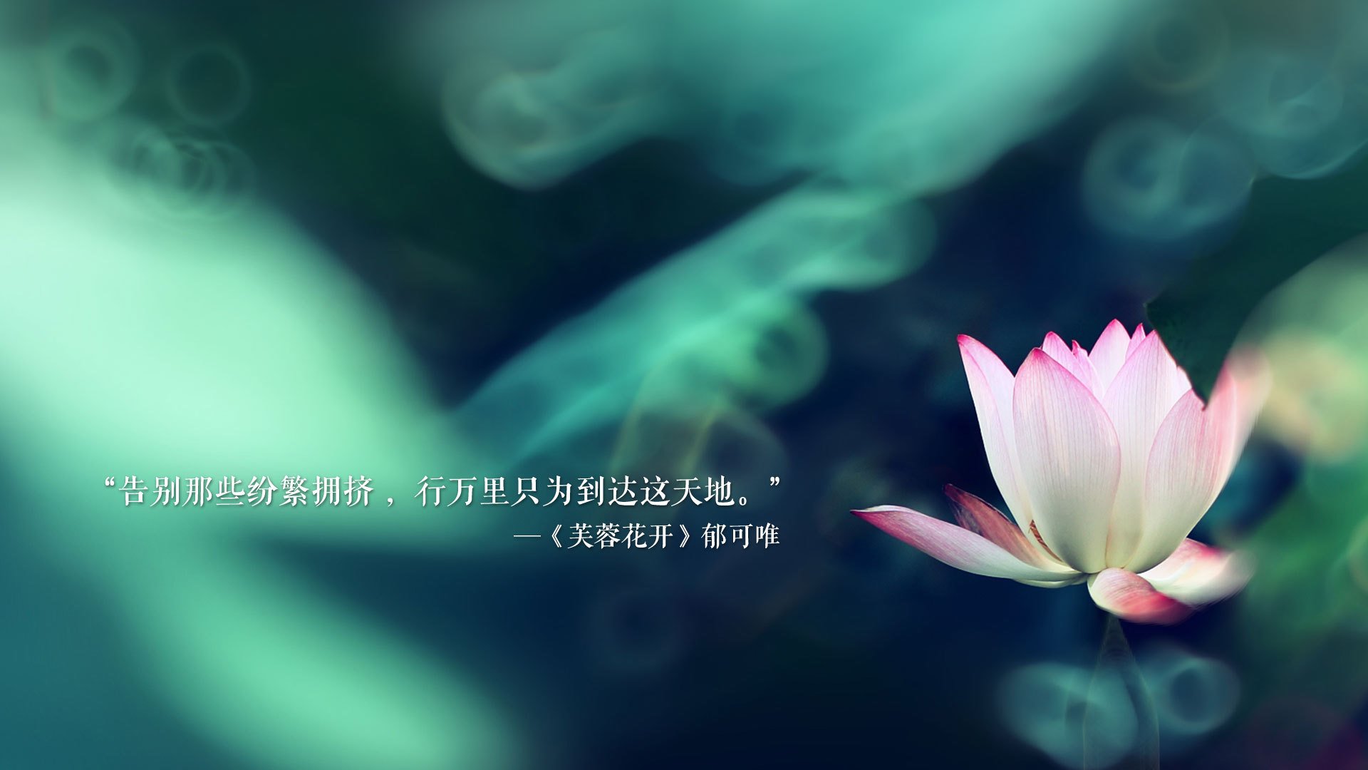 铁蹄踏碎波斯铁骑，2026世界杯F组，阿联酋冰与火之战中演世纪绝杀